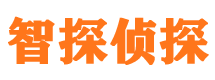 朗县外遇调查取证